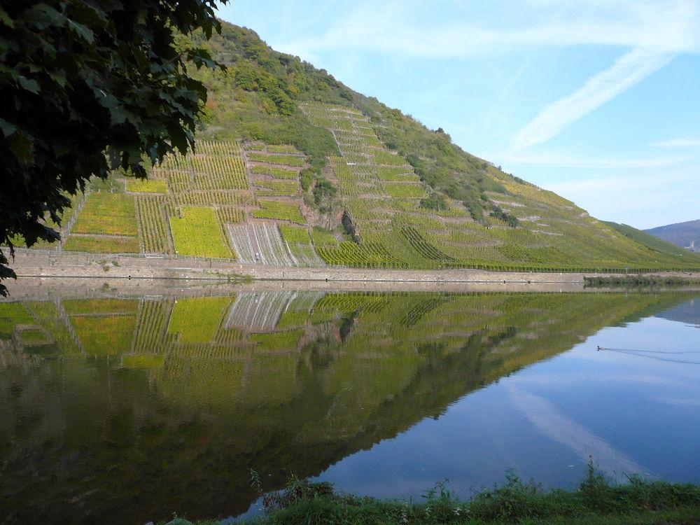 Mosel-Landhaus Am Moselufer B&B 브리에데른 외부 사진