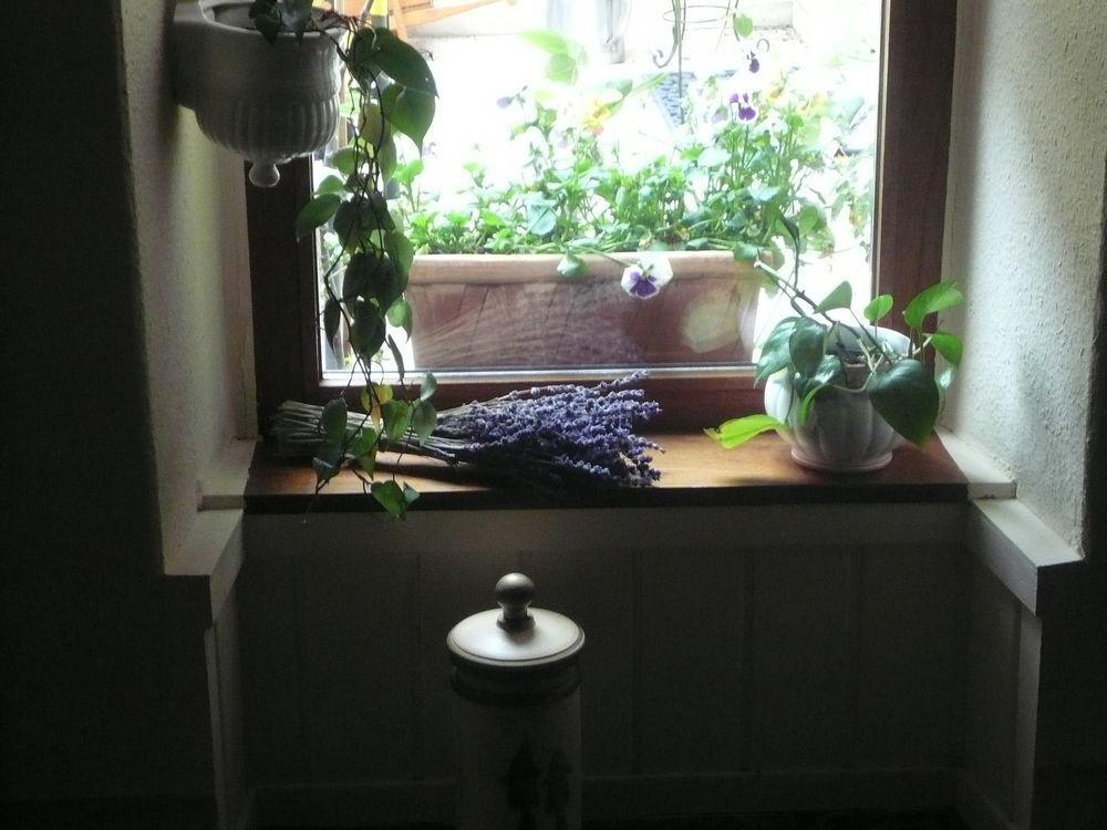 Mosel-Landhaus Am Moselufer B&B 브리에데른 외부 사진