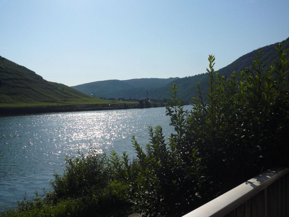 Mosel-Landhaus Am Moselufer B&B 브리에데른 외부 사진